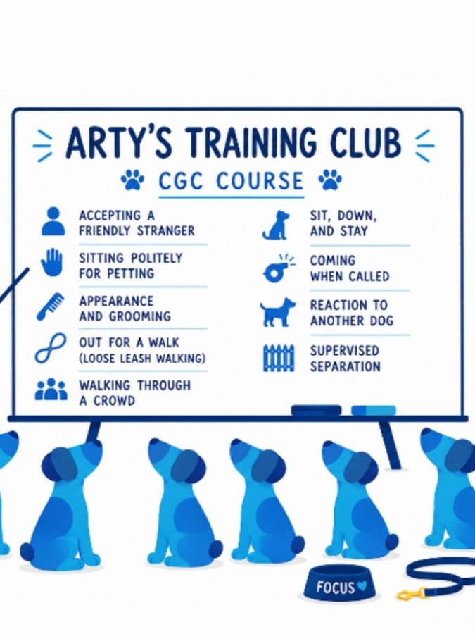 Become Canine Good Citizen® (CQC) Certified at the AKC Museum of the Dog