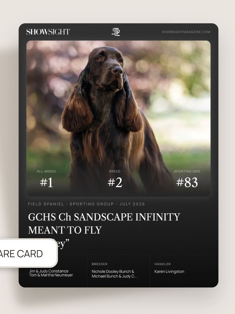 Your One-Stop Resource for All Show Results!