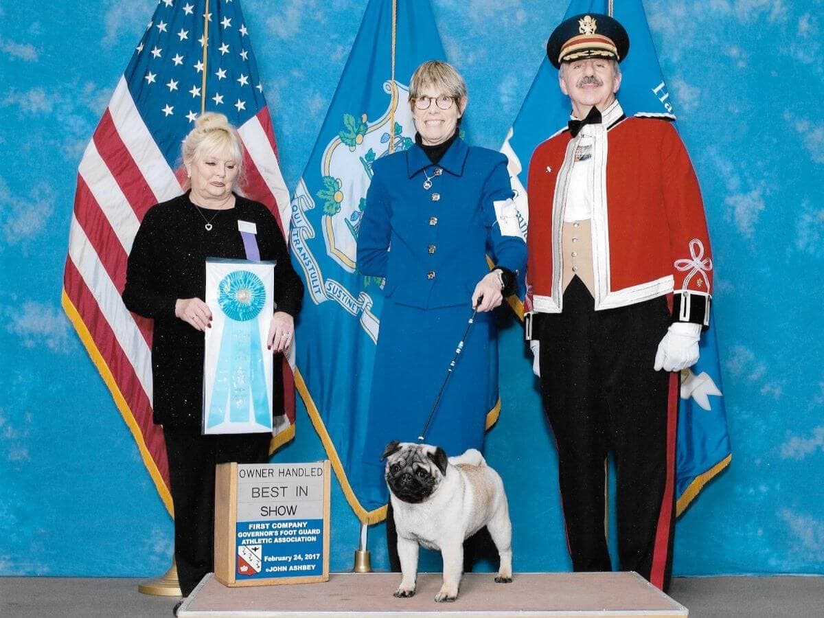 Blake, GCHG Casa Blanca’s I Pick Blake At Castlerock. Blake was also a Top 10 ranked dog, shown by Ashley his first year as a special and by Michael Scott the following two years. He also was a multiple Group winner. He received an Award of Excellence and