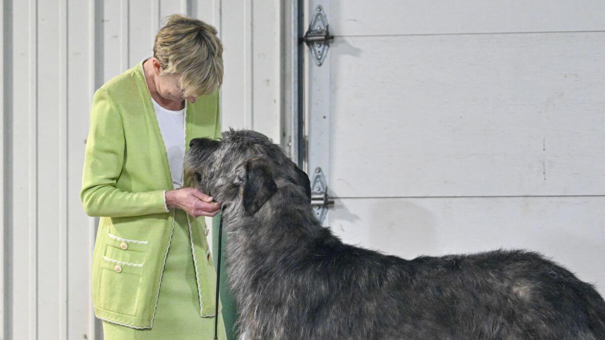Gail Morad with her Irish Wolfhound