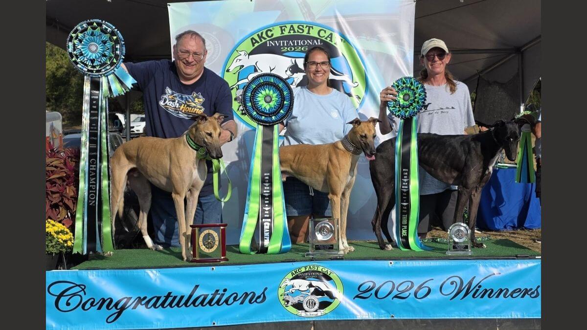 Full Speed Ahead! The Nation’s Quickest Dogs Crowned at AKC Fast Cat Invitational