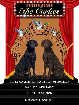 2026 Curly-Coated Retriever Club of America National Specialty