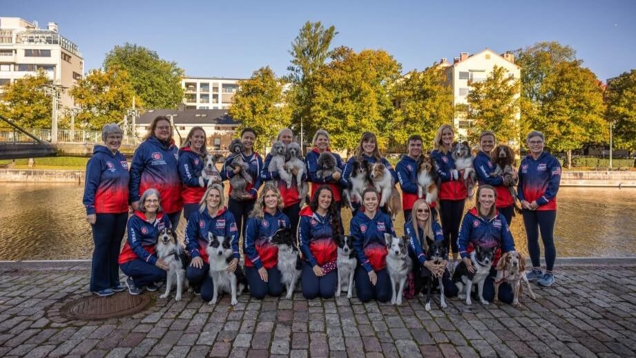 World Agility Team