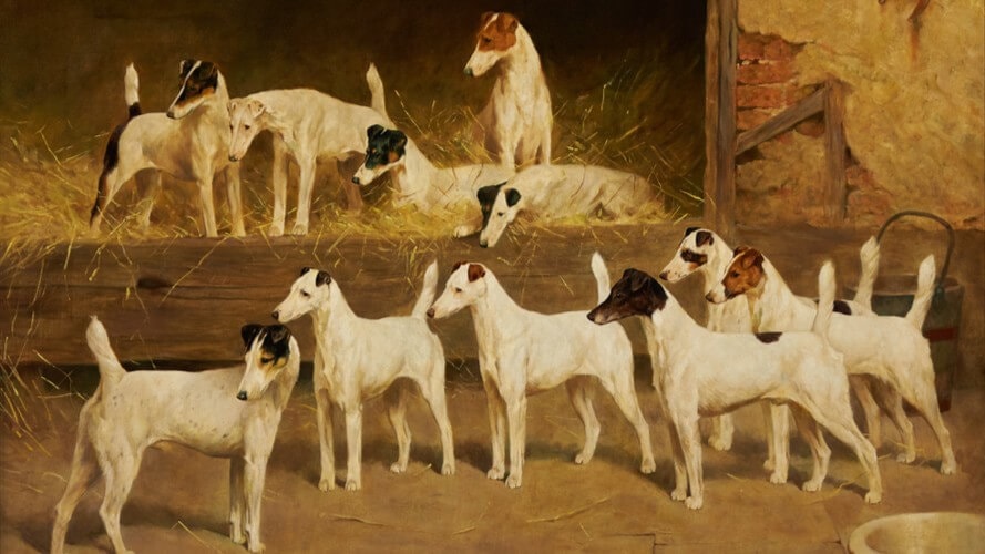 In later years, Wardle would complain about the constant oversight and “meddling” from the dogs’ owner (and his customer). Perhaps this accounts for the superb toplines and universally small, deep-set eyes. (This painting is owned by the Royal Kennel Club