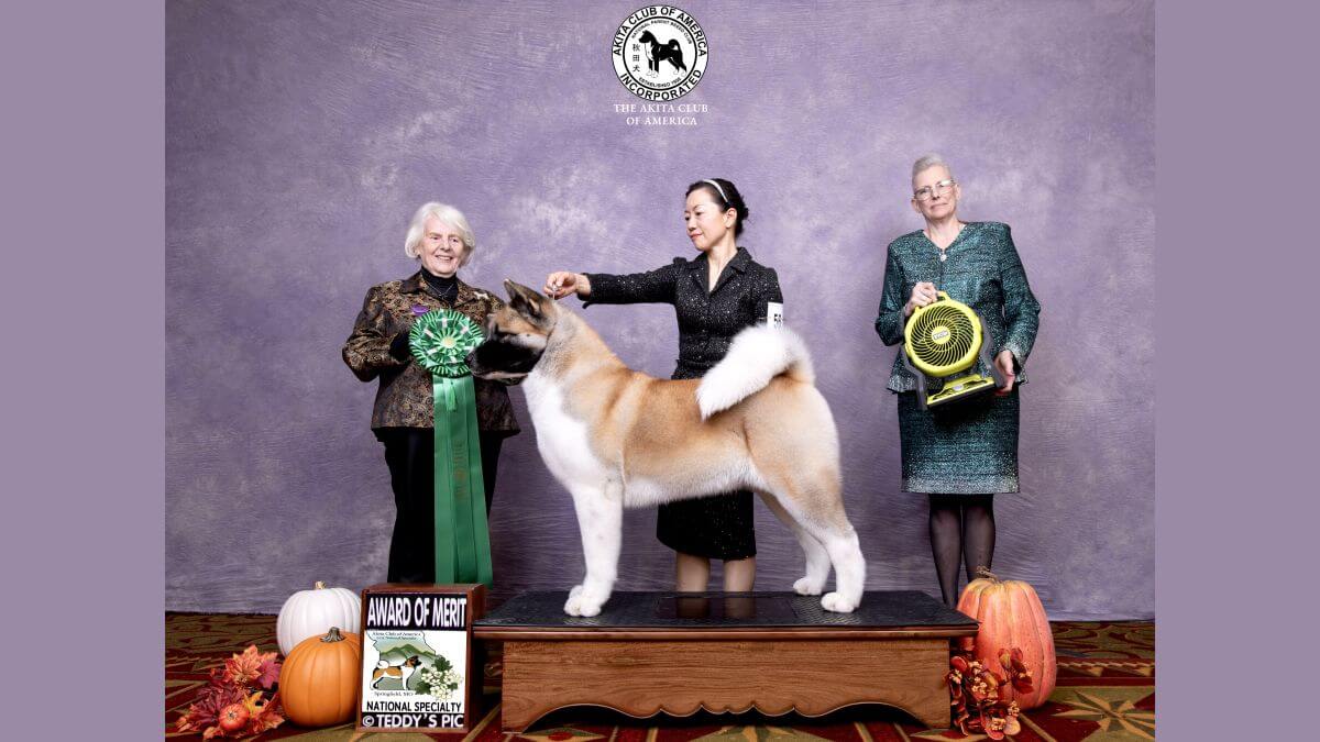 Learning the Breed Standard