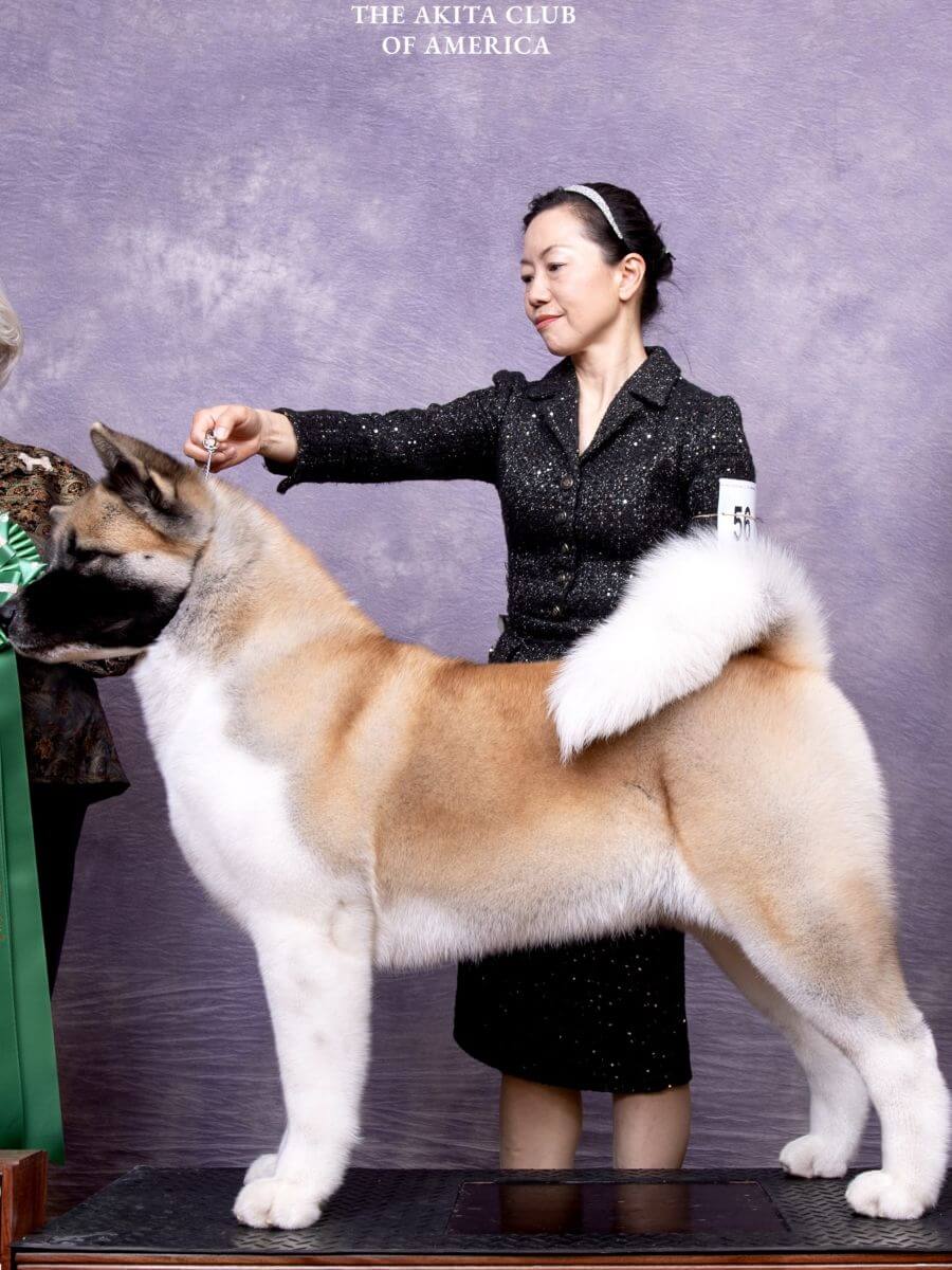 Learning the Breed Standard
