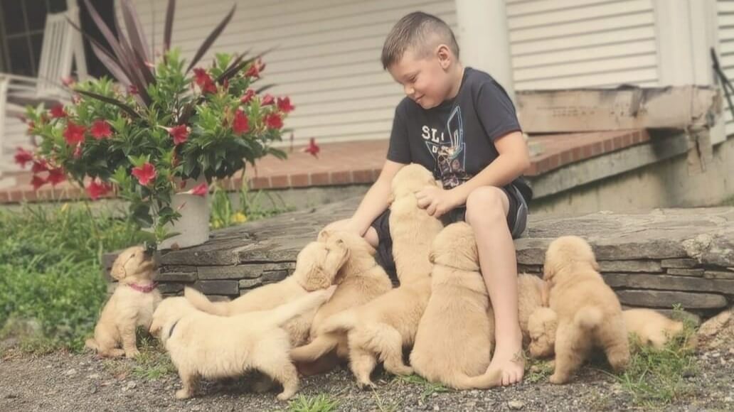 The Purpose Behind the Puppy on the Couch