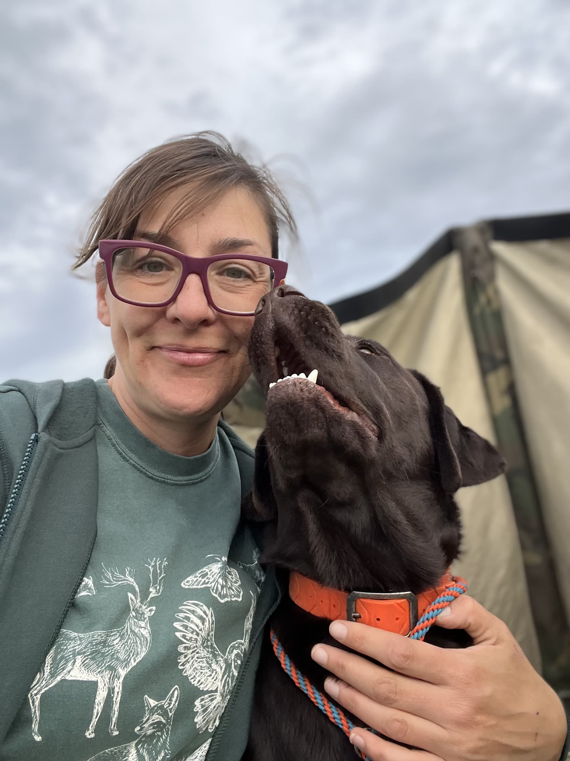 Potrero K9 Dog Training