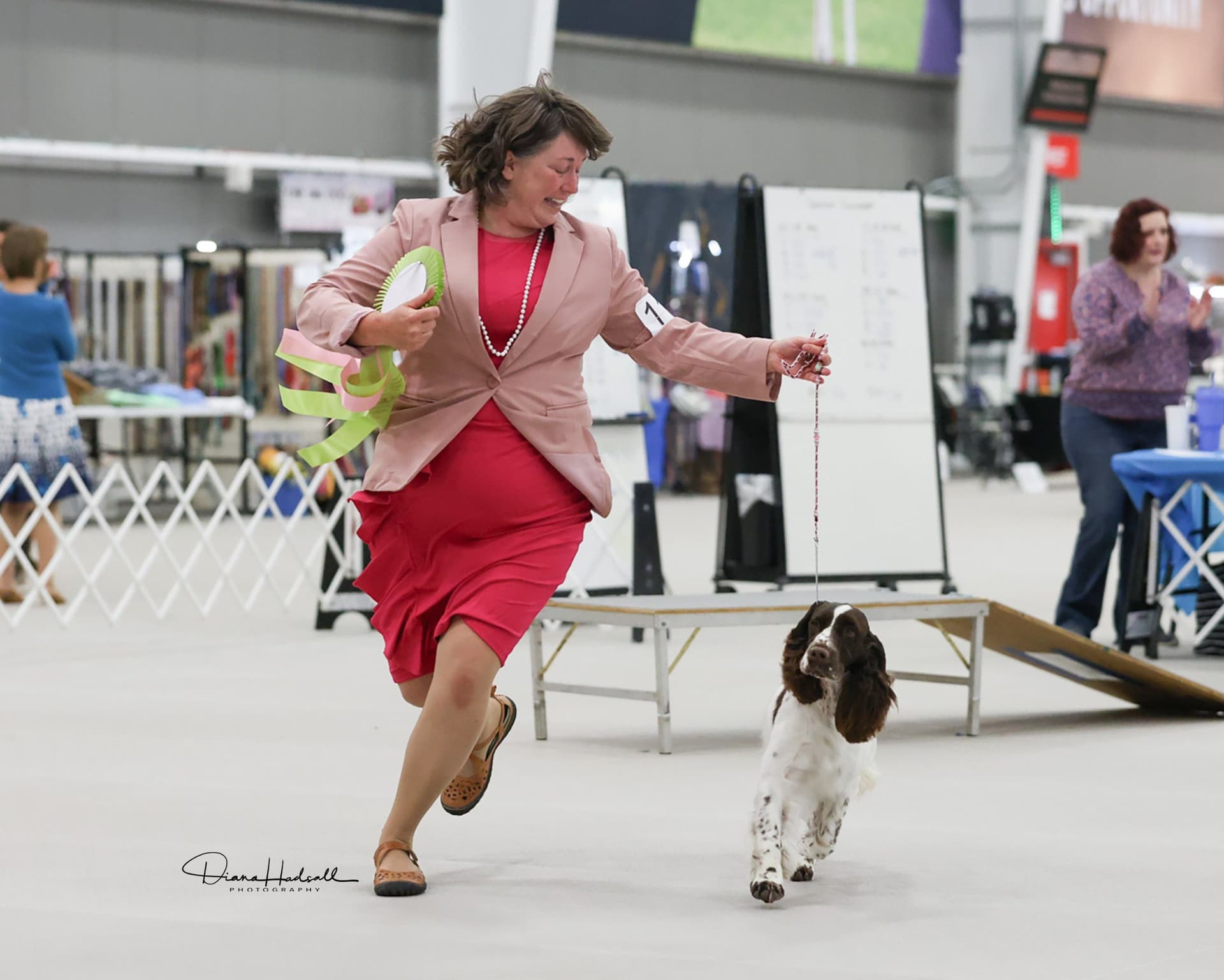 Stina's Springers
