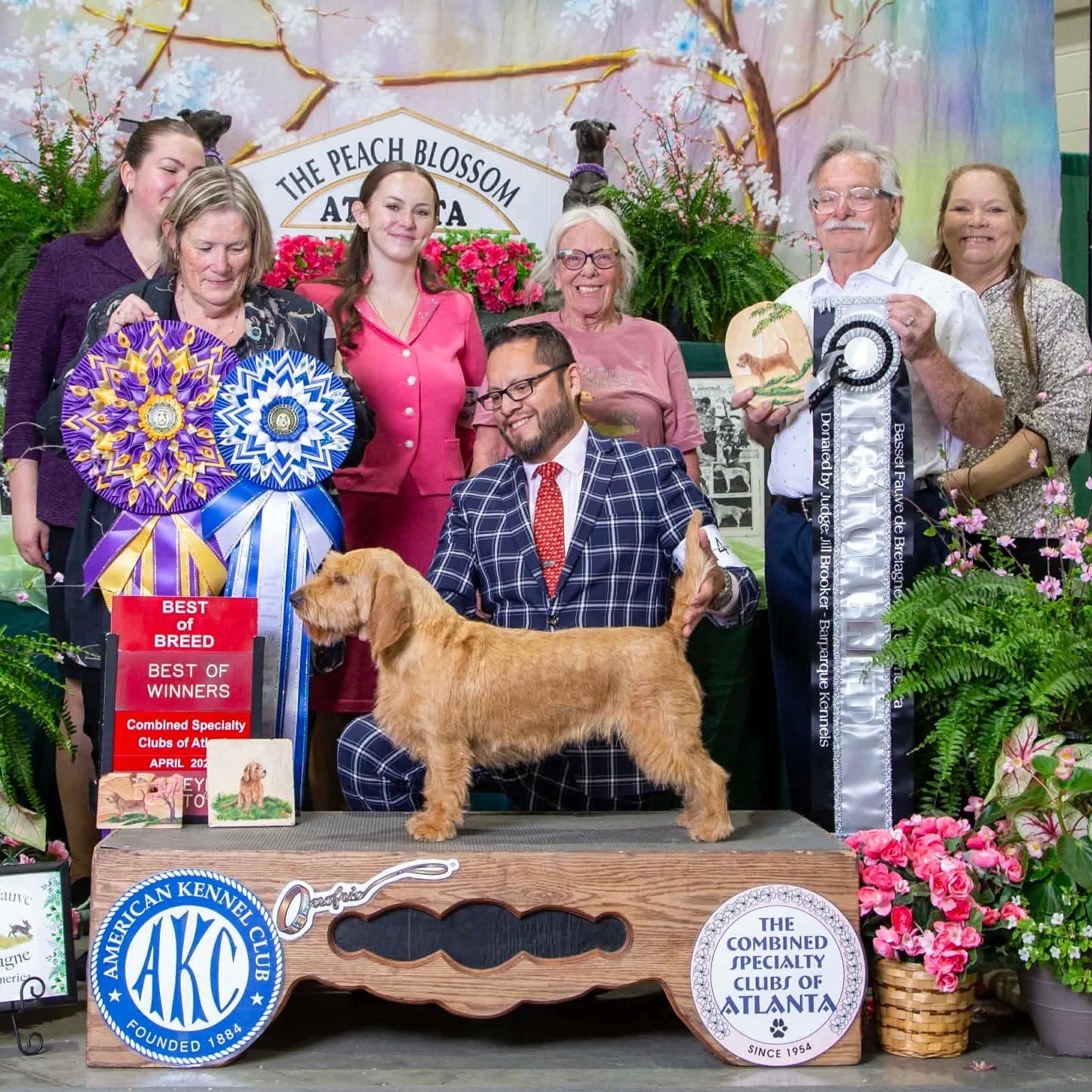 Sun Dog Handling & Grooming