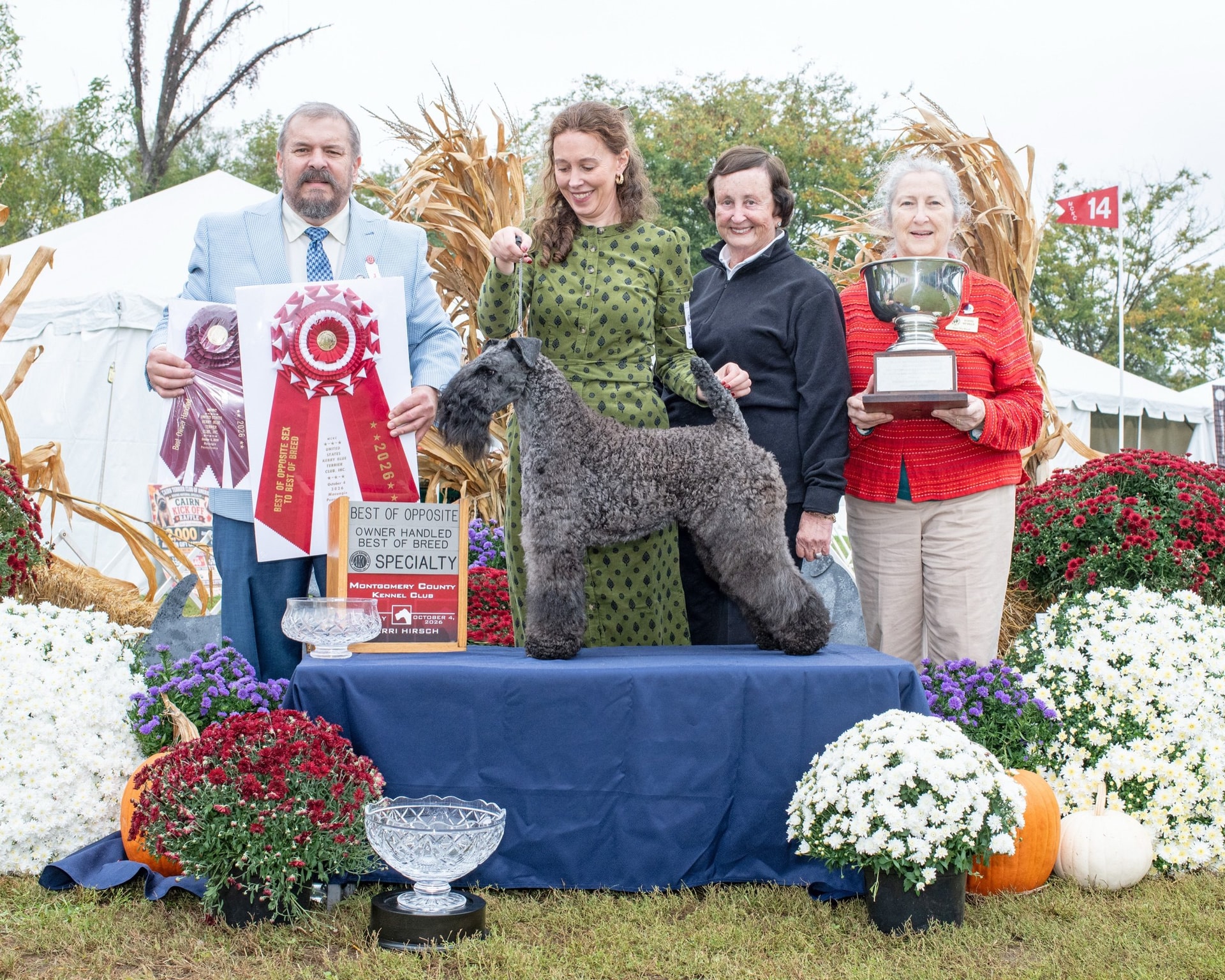 GCH GOODSPICE FUTURE NOSTALGIA AT RUTHVEN