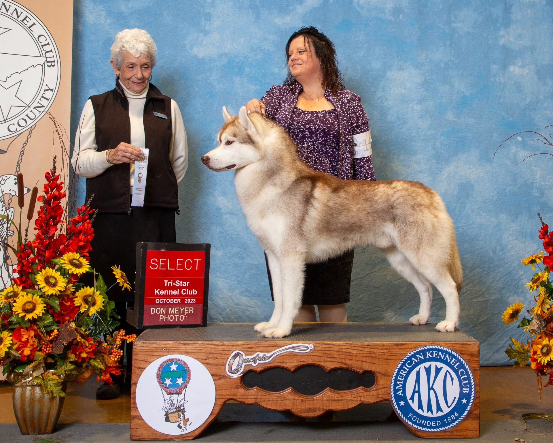 CH TALMADGE CRAZY LIL' THING CALLED LUV CGC CGCA CGCU TKN