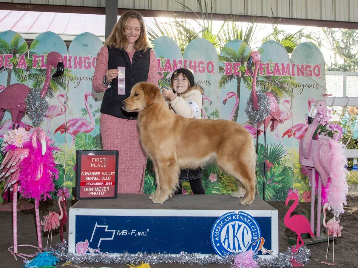 Meet the Junior Handler: Addie Grace Battaglia