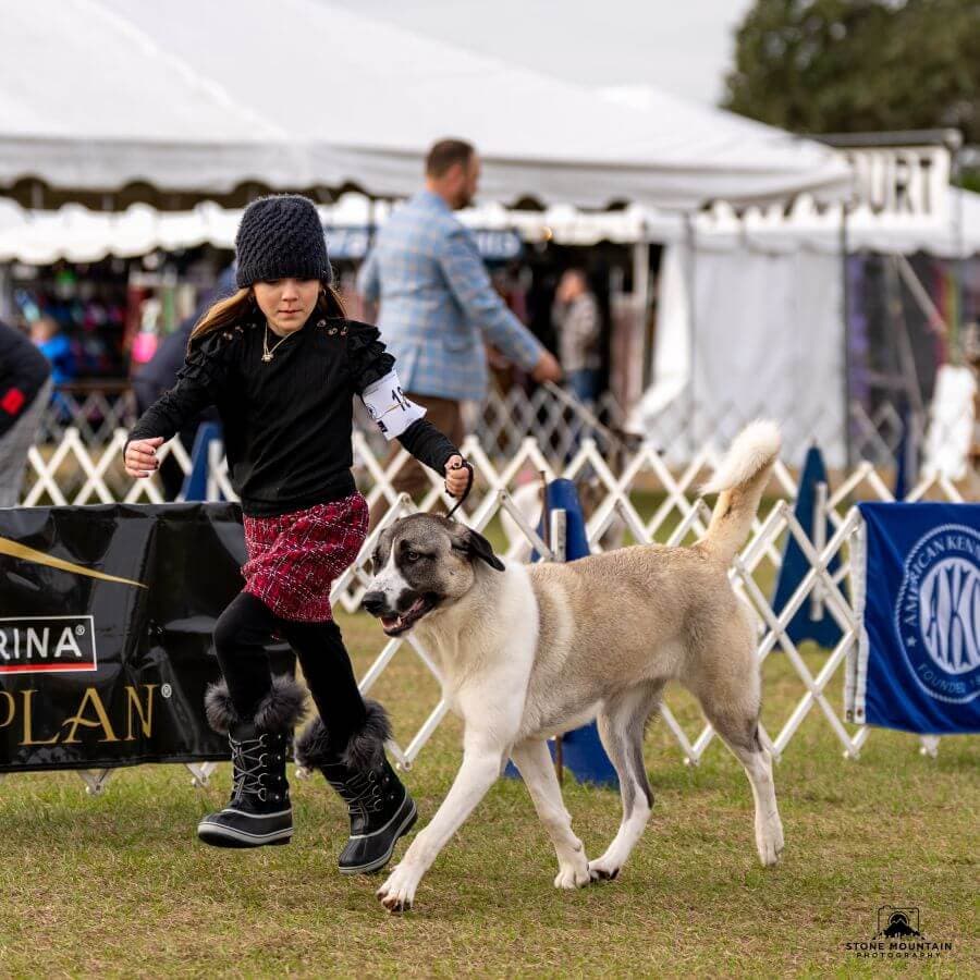 Meet the Junior Handler: Addie Grace Battaglia