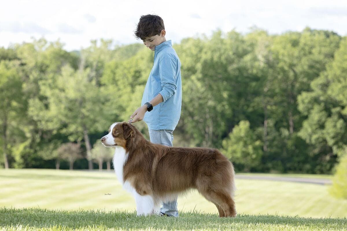 Meet the Junior Handler: Sawyer Johnson