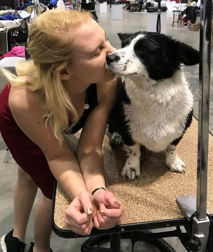 Why the Best-Bred Dogs Are the Last Ones Found—and What We Do About It