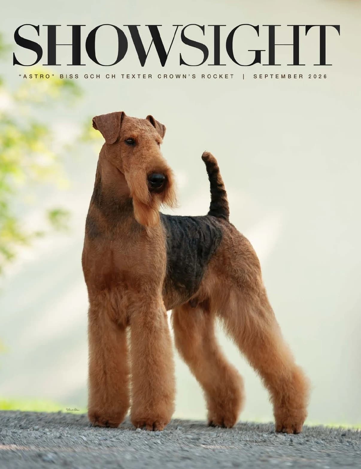 Showsight Magazine | September 2026 cover