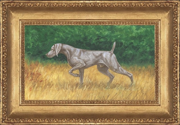 Painting of A medium-sized gray dog, with fine aristocratic features, he should present a picture of grace, speed, stamina, alertness and balance.