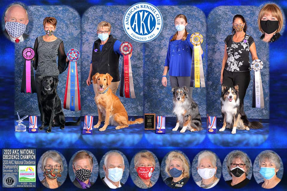 20th AKC National Championship Presented by Royal Canin 20th AKC National Championship Presented by Royal Canin
