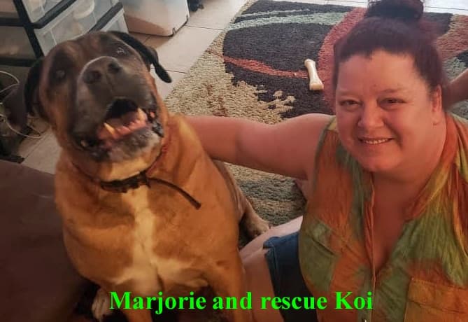 Meet Giant Paws Boerboel Rescue Team