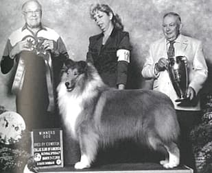 Remembering AKC Field Representative William Harold Holbrook