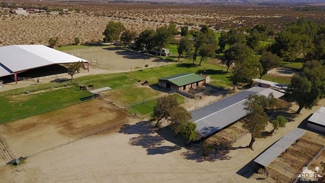 2021 Non-Sporting Dog Spectacular: New Dates, New Superintendent, New Location