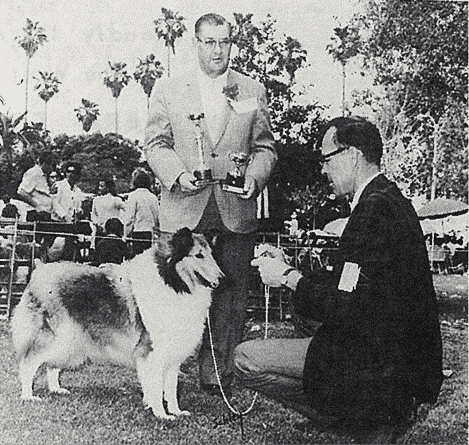 Remembering AKC Field Representative William Harold Holbrook Remembering AKC Field Representative William Harold Holbrook