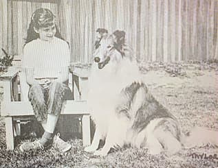 Remembering AKC Field Representative William Harold Holbrook
