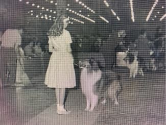 Remembering AKC Field Representative William Harold Holbrook