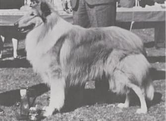 Remembering AKC Field Representative William Harold Holbrook