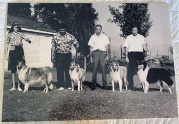 Remembering AKC Field Representative William Harold Holbrook