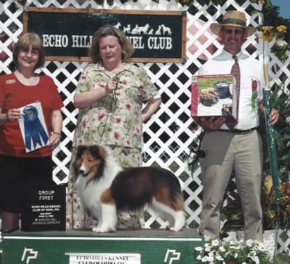 Remembering Julie Desy Remembering Julie Desy