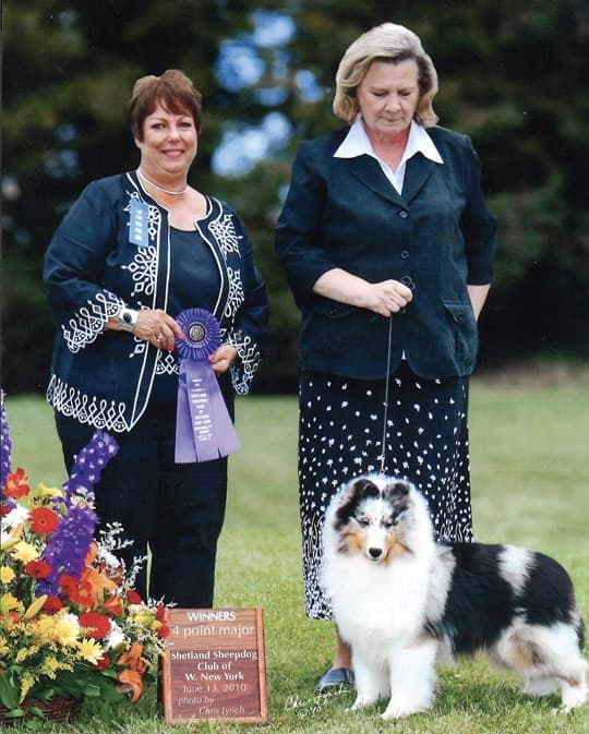 Remembering Julie Desy Remembering Julie Desy