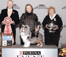 Remembering Julie Desy Remembering Julie Desy