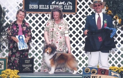 Remembering Julie Desy