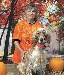 English Setter Standard | Traits of a Moderate Setter