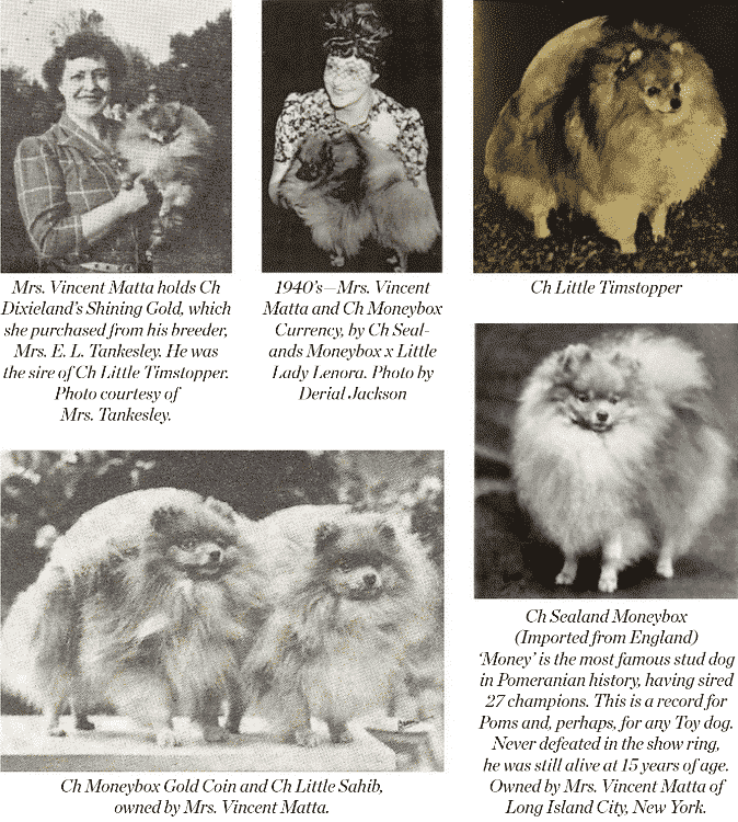 Studying the Pomeranians Past Studying the Pomeranians Past