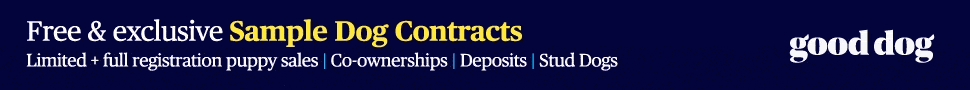 How Enforceable Are My Dog Contracts?