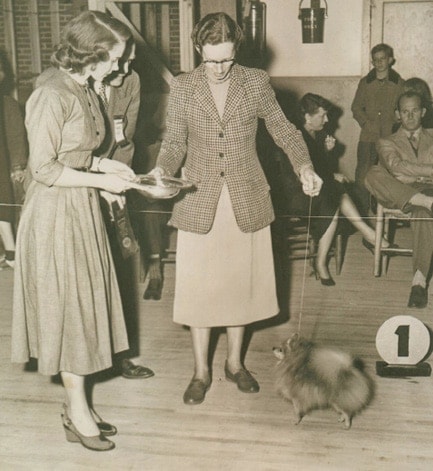 The Journey of Ruth Beam