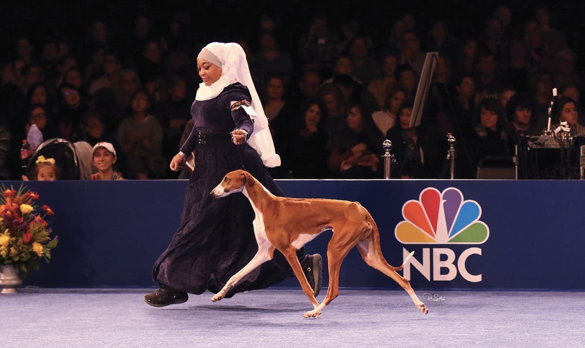 Aliya Taylor at dog show Aliya Taylor at dog show