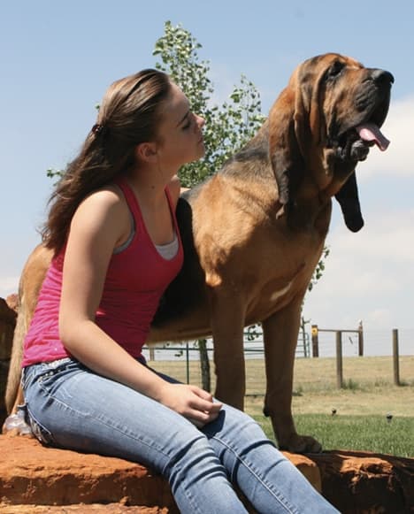Junior Star Program Karissa Groves and her heart dog, Sebastian, for whom the program is dedicated.