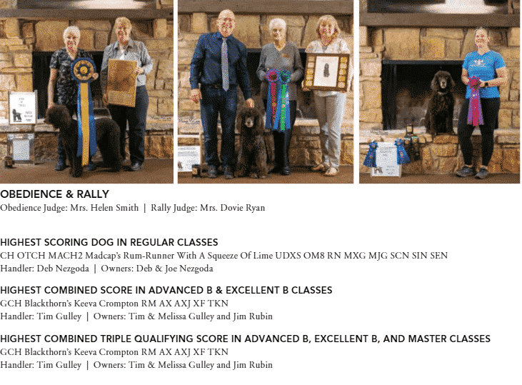 Rat Tail Spaniel IWSCA National Specialty 2021