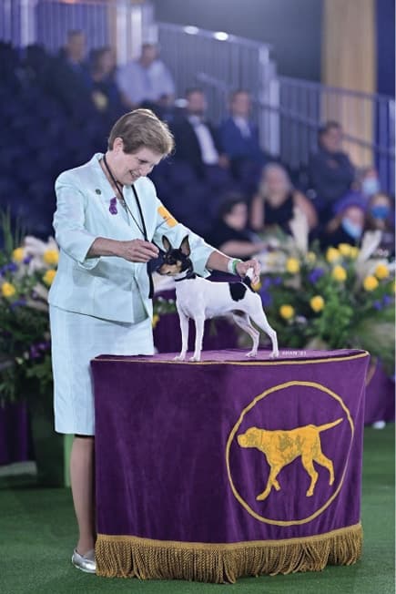 Susan Thibodeaux Susan Thibodeaux
