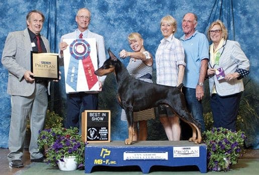 Meet AKC Judge and Breeder Vicki Seiler-Cushman