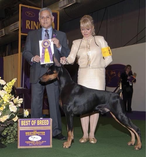Vicki Seiler-Cushman | Dayton Kennel Club Vicki Seiler-Cushman | Dayton Kennel Club