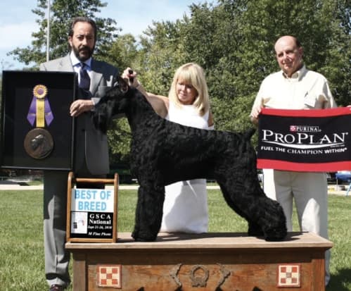 Vicki Seiler-Cushman | Dayton Kennel Club Vicki Seiler-Cushman | Dayton Kennel Club