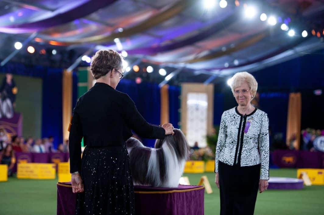 The Westminster Kennel Club Dog Show Group Judges