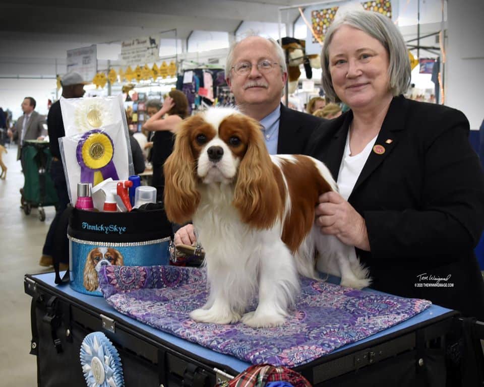 Cavalier Owner Handler's Sharon Onorato Utych James Utych