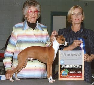 An Interview with Carol Harris | Bo-Bett Farm