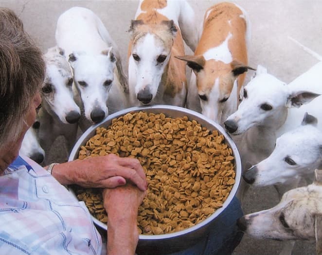 An Interview with Carol Harris | Bo-Bett Farm